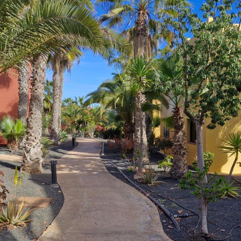 Casa surf Esperenza Dunas - One-Bedroom Apartment - 12
