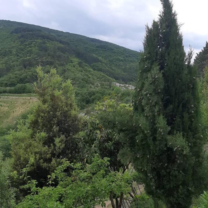 Assisi Casa Vacanze Da Luigi - Casa con 3 Camere da Letto - 26