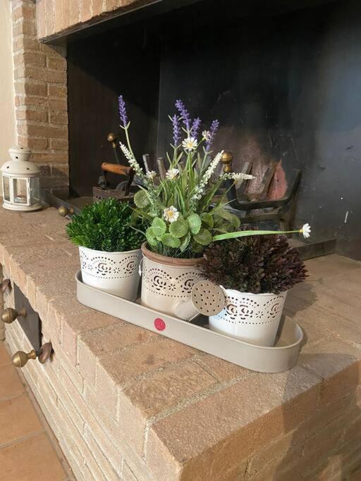 Assisi Casa Vacanze Da Luigi - Casa con 3 Camere da Letto - 21
