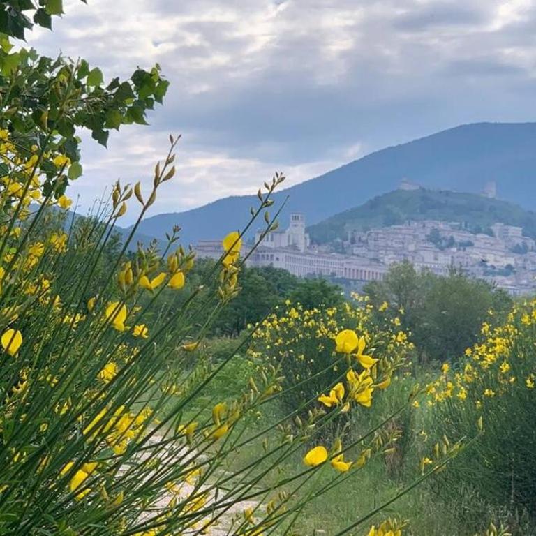 Assisi Casa Vacanze Da Luigi - Casa con 3 Camere da Letto - 30