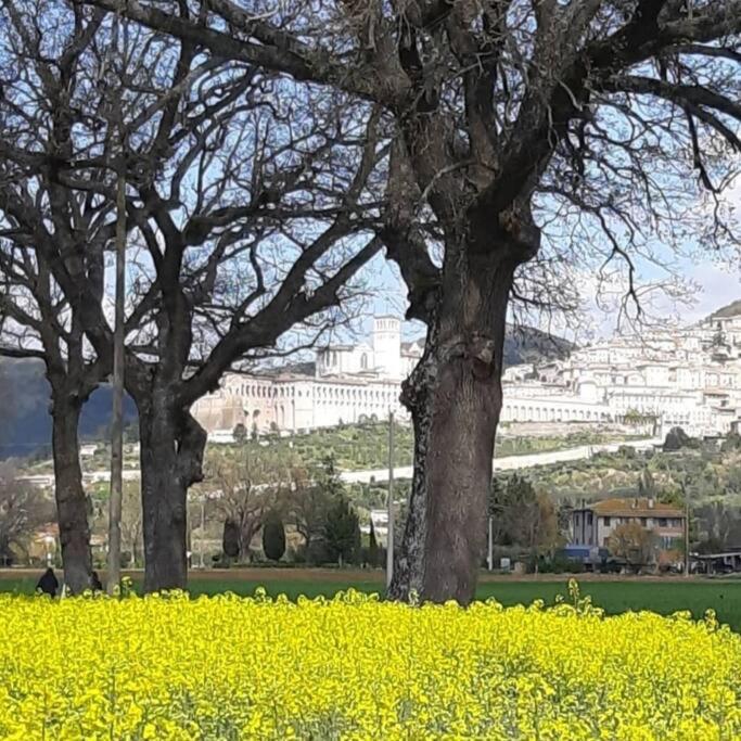 Assisi Casa Vacanze Da Luigi - Casa con 3 Camere da Letto - 33