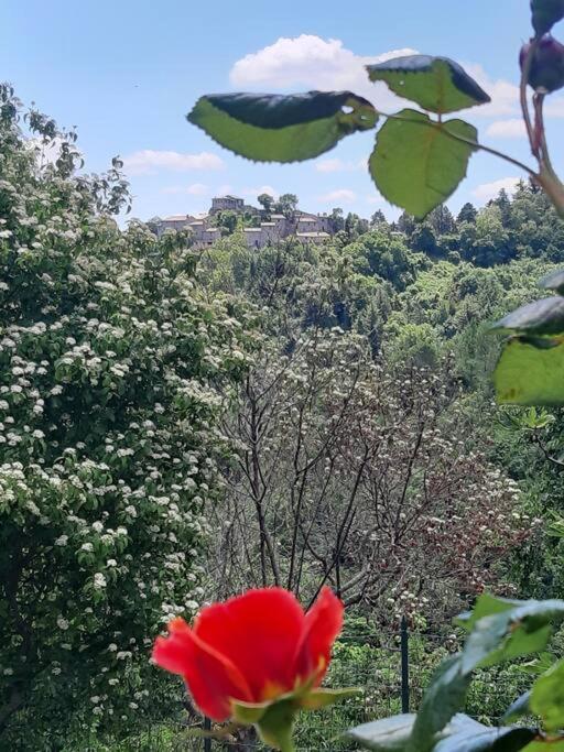 Assisi Casa Vacanze Da Luigi - Casa con 3 Camere da Letto - 36