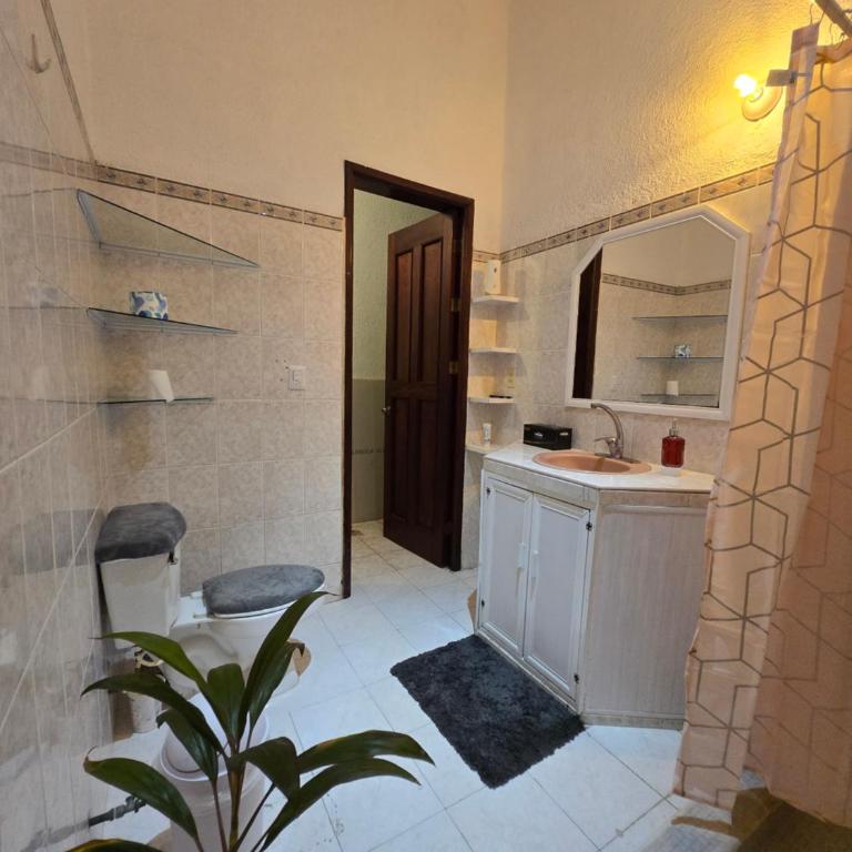 Casa Armonia - Three-Bedroom House - 19