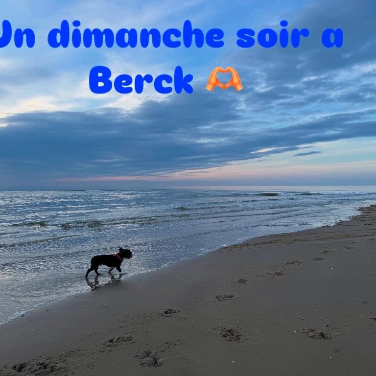 Au paradis bleu maison 6 couchages ok chiens jardin - Maison 3 Chambres - 21