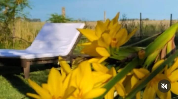 La Narcisa - Casa de 2 dormitorios - 1