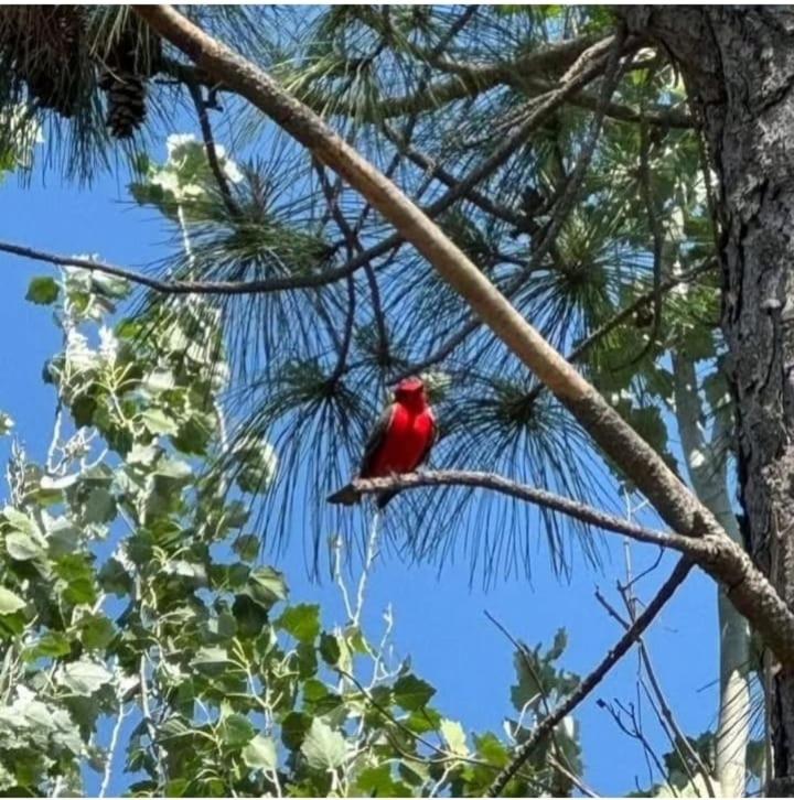 La Narcisa - Casa de 2 dormitorios - 4