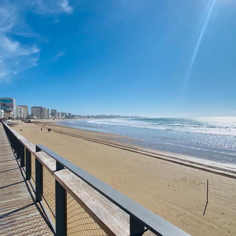 L Appart’ Grande Plage - Apartment mit 1 Schlafzimmer - 15