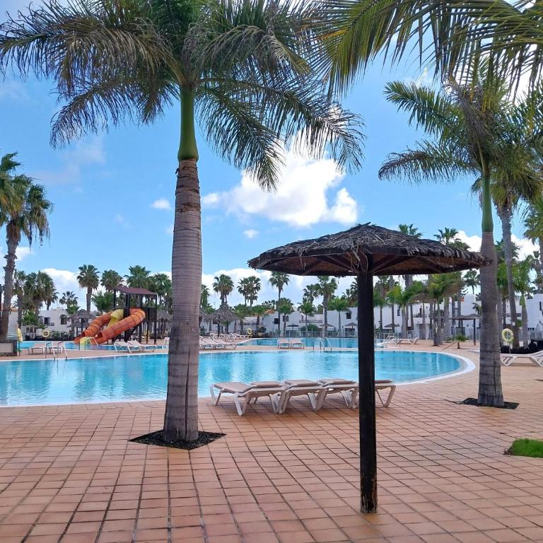 Brightblue Oasis by Sea You There Fuerteventura - Apartamento con vistas al jardín - 32