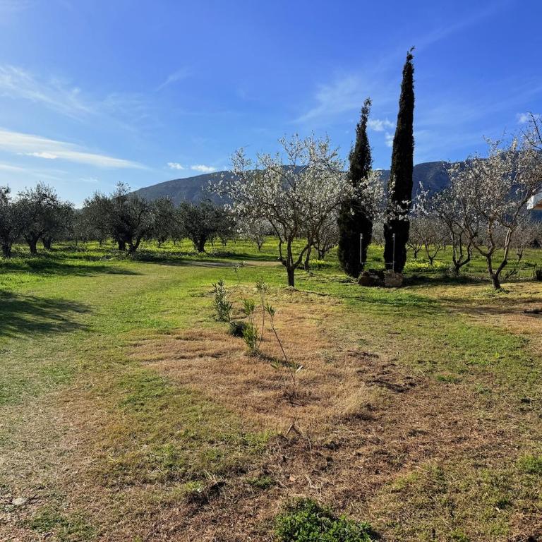 Le Residenze dei Mandorli - Appartamenti immersi nel verde della macchia mediterranea a Orosei - Casa con 1 Camera da Letto - 18