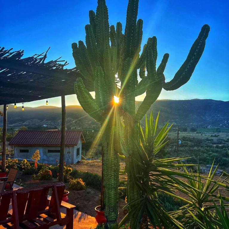 Gorgeous fully equipped Casita - One-Bedroom Chalet - 14