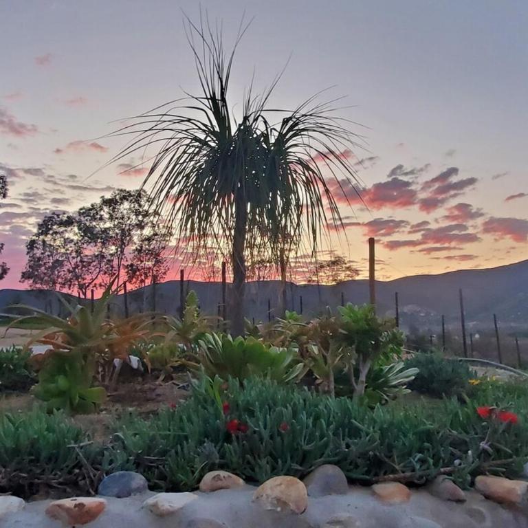 Gorgeous fully equipped Casita - One-Bedroom Chalet - 15