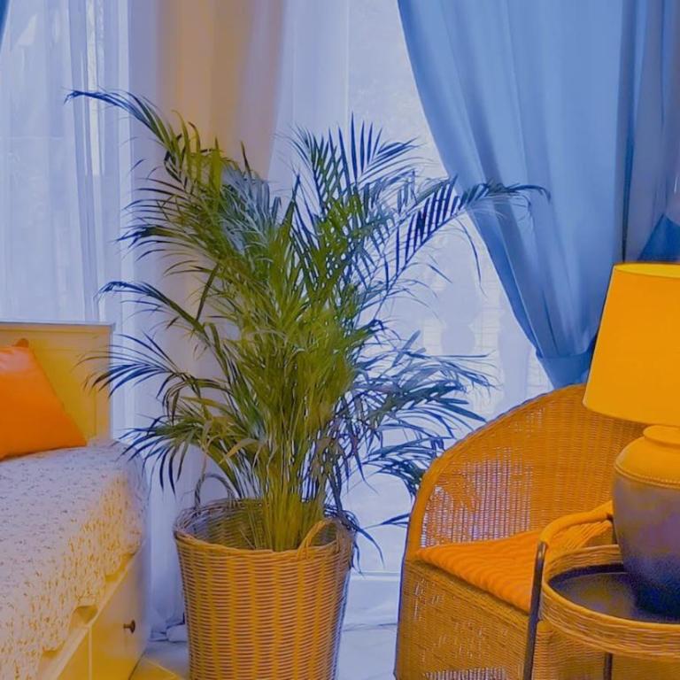 Apartament - Lisa - Apartment with Terrace - 1