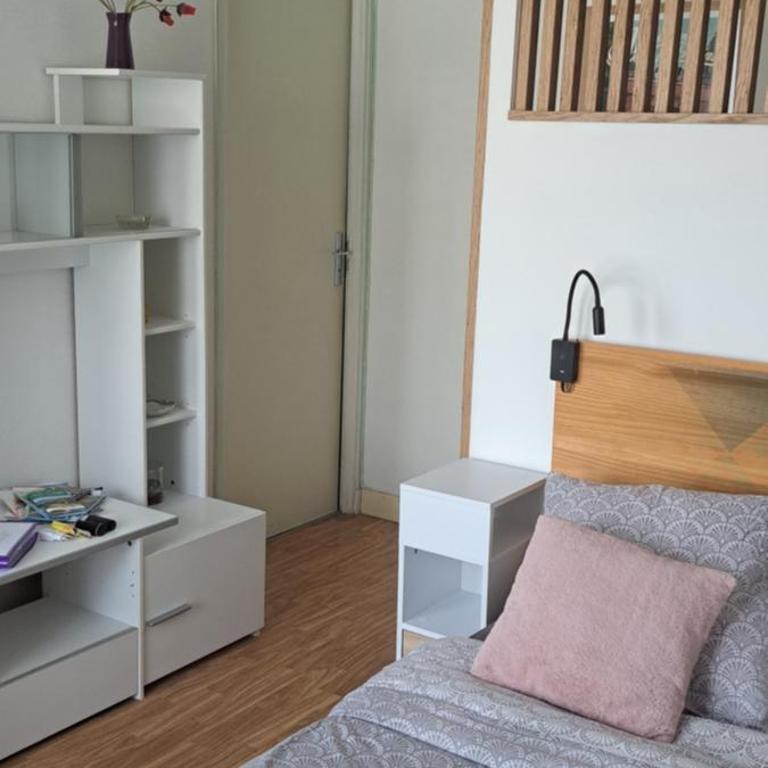 50m des cures joli studio exposition nord libre 25 juillet au 2 août promo dernières dates - Appartement 1 Chambre - 13