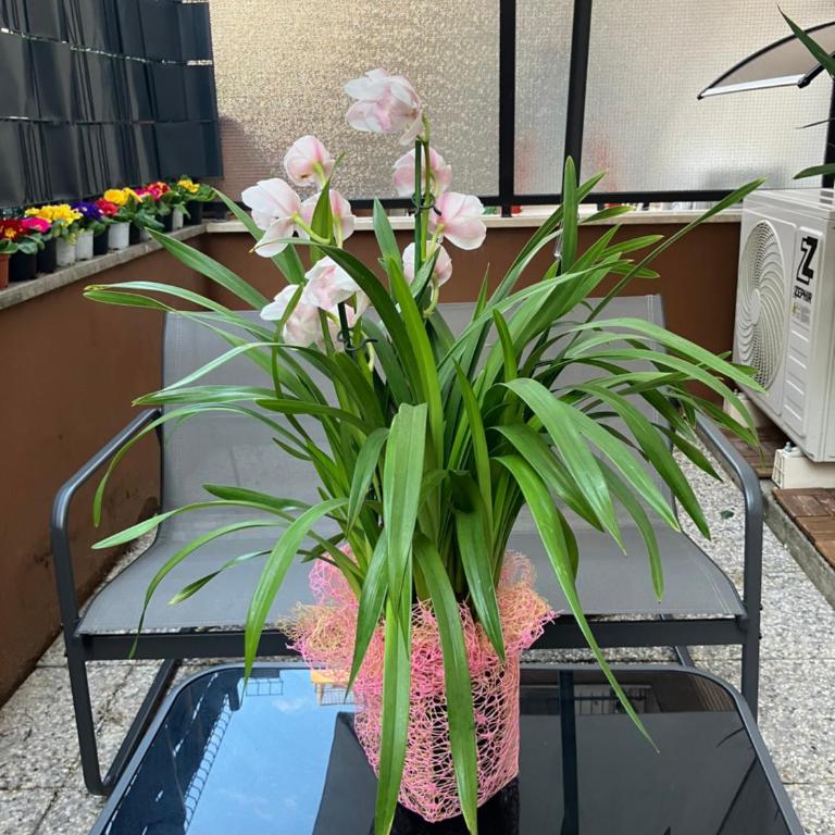 Le Rondini in giardino - Apartment mit 2 Schlafzimmern - 29