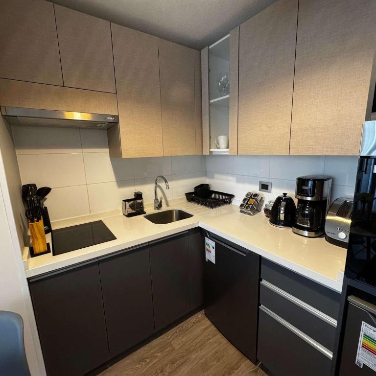 HOM I TOP1 Depto 1D1B 2PAX en Santiago Santa Isabel - Apartamento - 34