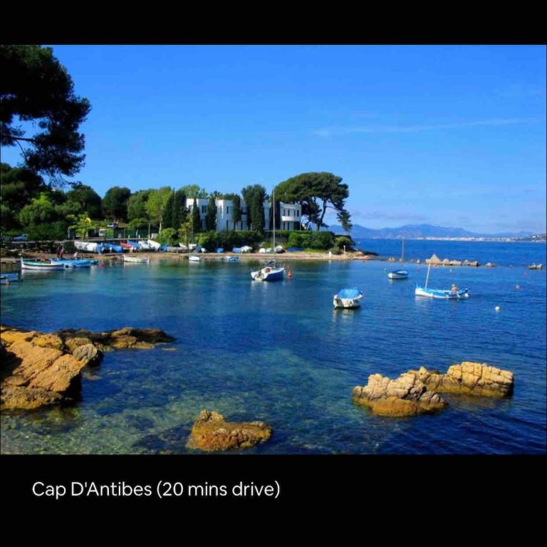 Large Studio in Cannes near la Croisette and beach - Appartement 1 Chambre - 55