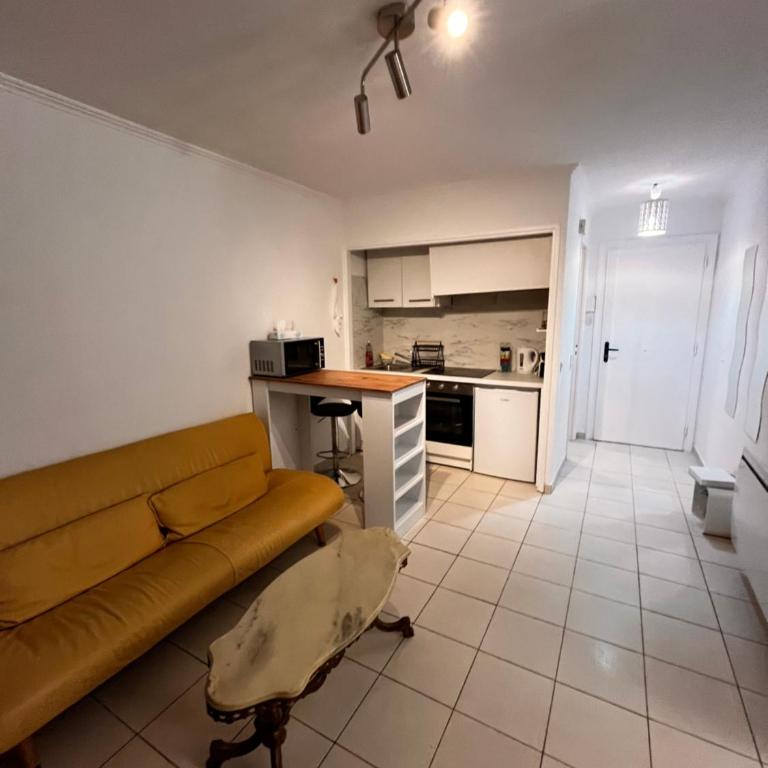Large Studio in Cannes near la Croisette and beach - Appartement 1 Chambre - 3