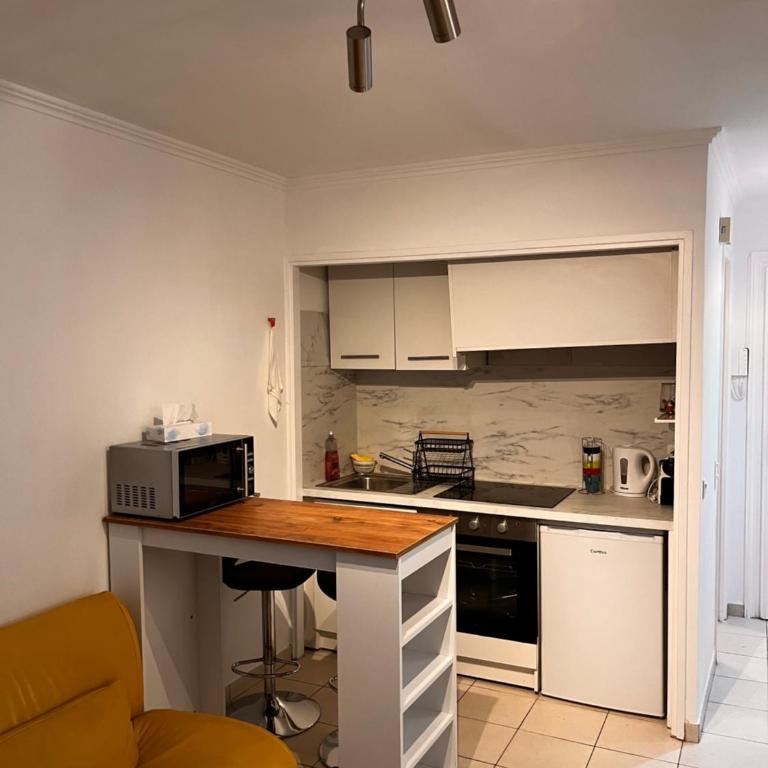 Large Studio in Cannes near la Croisette and beach - Appartement 1 Chambre - 25