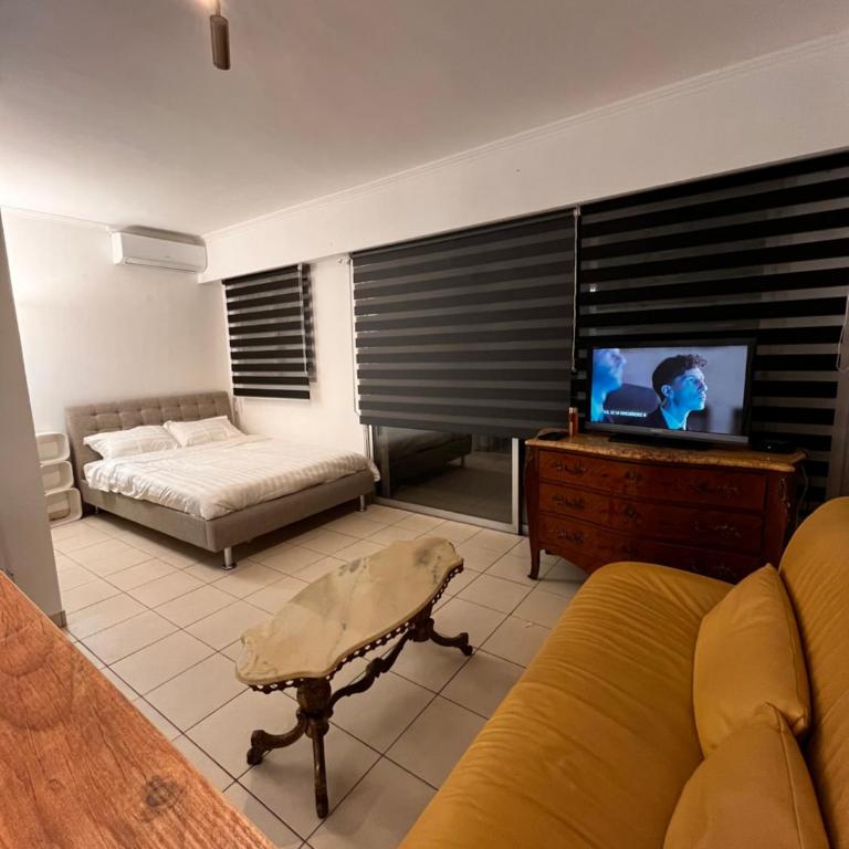 Large Studio in Cannes near la Croisette and beach - Appartement 1 Chambre - 27