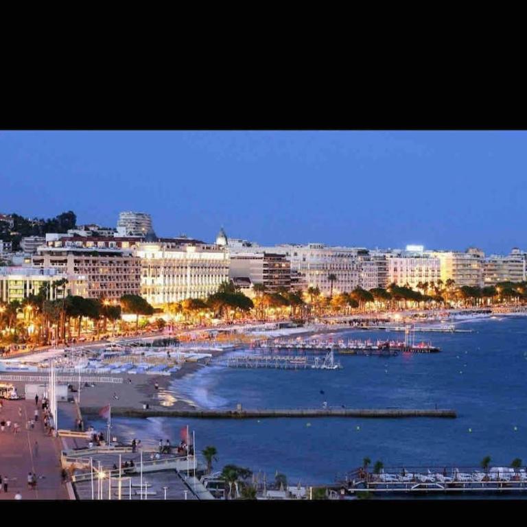 Large Studio in Cannes near la Croisette and beach - Appartement 1 Chambre - 29