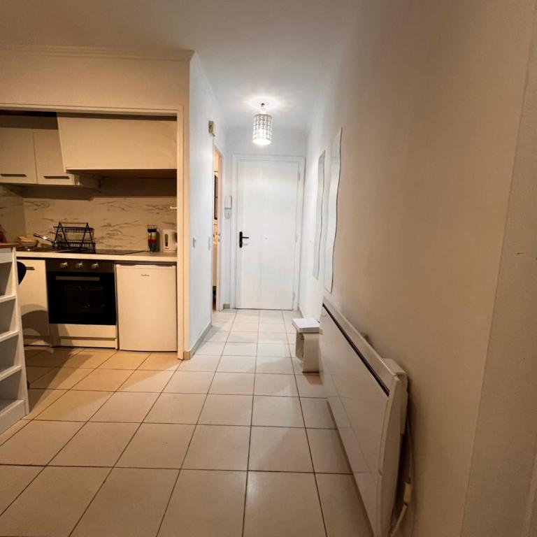 Large Studio in Cannes near la Croisette and beach - Appartement 1 Chambre - 33