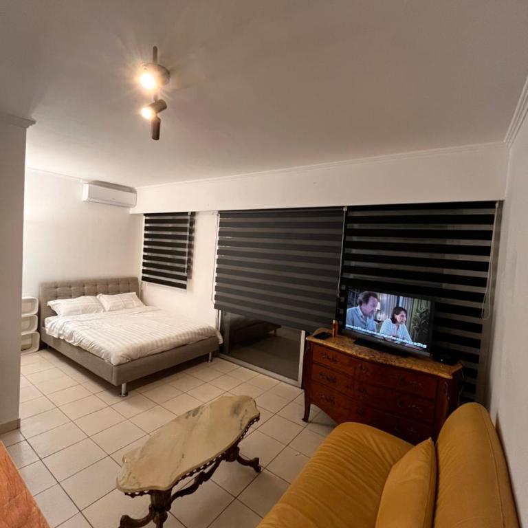 Large Studio in Cannes near la Croisette and beach - Appartement 1 Chambre - 37