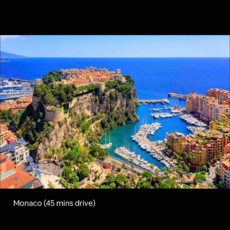 Large Studio in Cannes near la Croisette and beach - Appartement 1 Chambre - 48