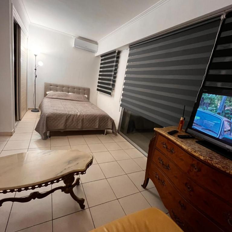 Large Studio in Cannes near la Croisette and beach - Appartement 1 Chambre - 56