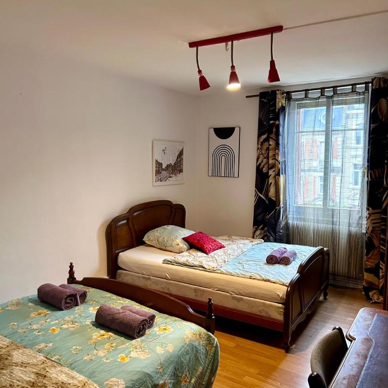 Superbe appartement en plein centre ville - Appartamento con 3 Camere da Letto - 12