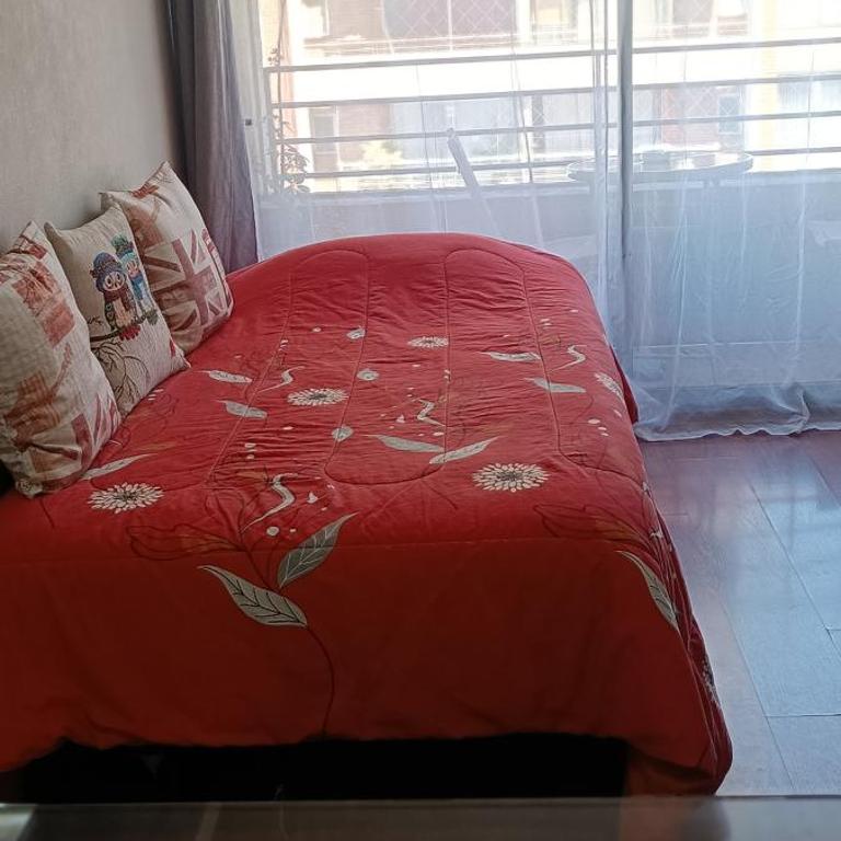 Amoblado Santiago Adri - Apartamento de 2 dormitorios - 3