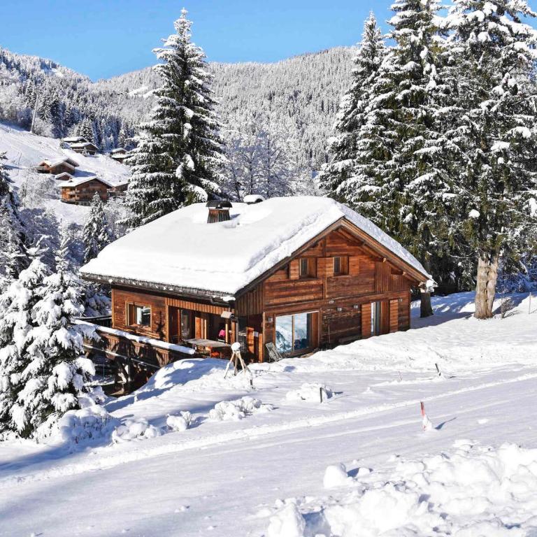 Chalet 4★, 14 pers, sauna, 6 chambres à La Clusaz, pieds des pistes - FR-1-304-306 - Chalet - 18