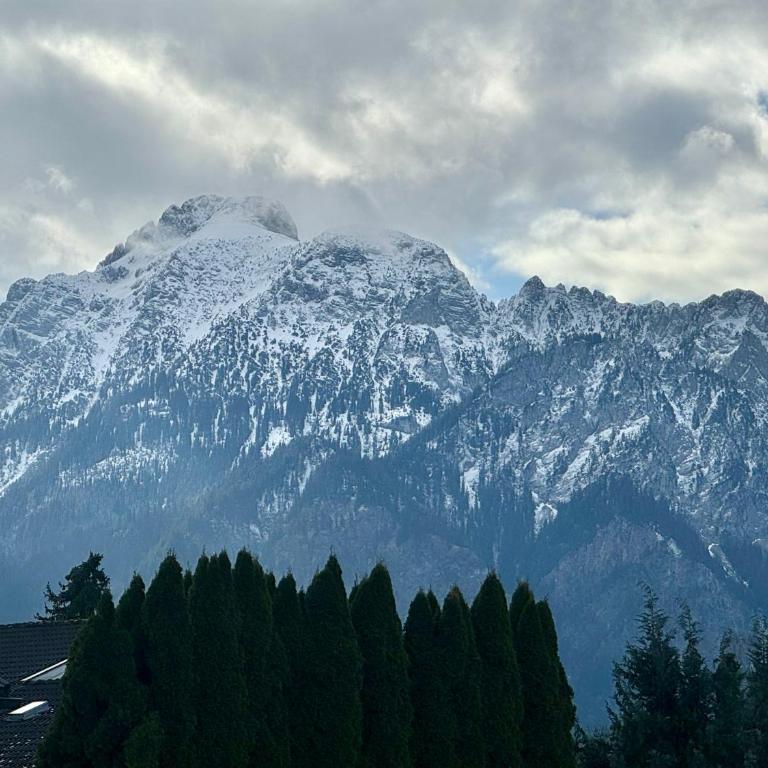Modernes Apartment nähe Neuschwanstein I Bergblick - Appartamento con 2 Camere da Letto e Balcone - 17