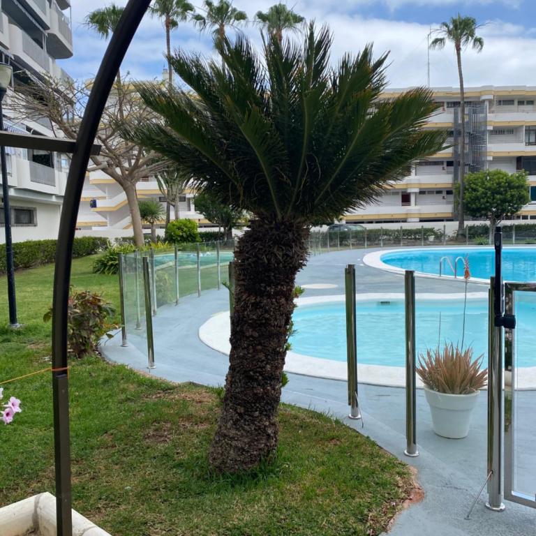 Los Volcanes Luxus Apartment - One-Bedroom Apartment - 15