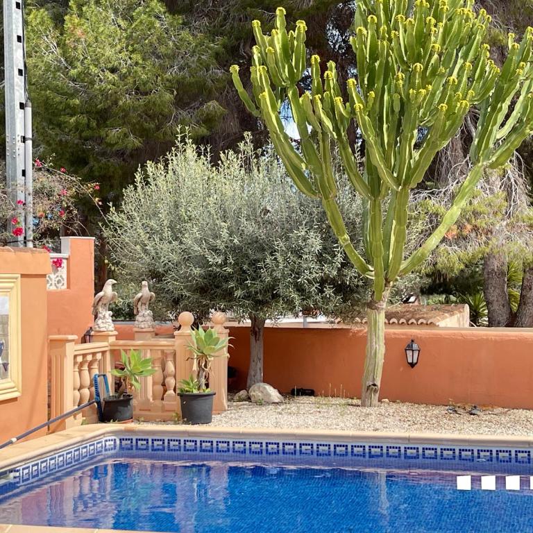 VH CostaBlanca - CARRASQUETA - Five-Bedroom Villa - 15