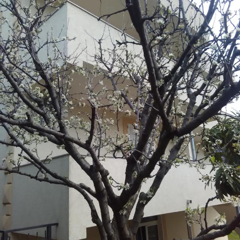 Apartments Savić - One-Bedroom Apartment with Balcony and Sea View - 10