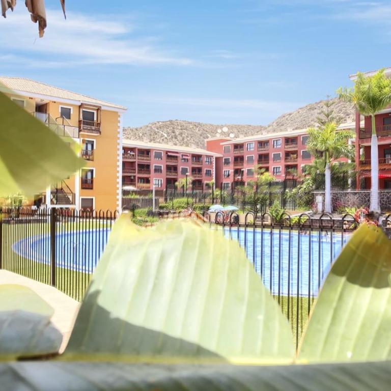 1 bedroom apartment Gabry in Palmar - One-Bedroom Apartment - 3