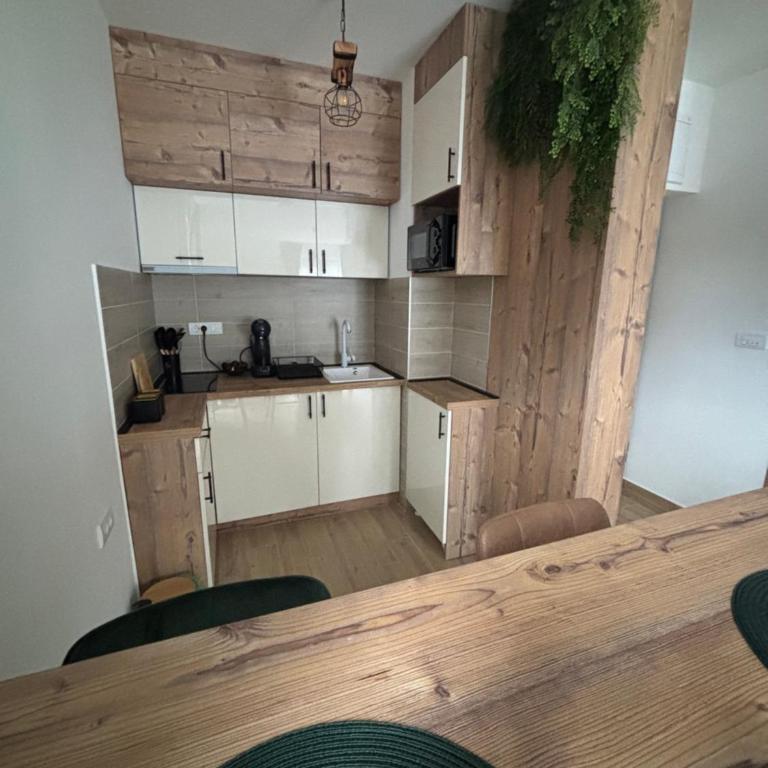 Apartmani Planina Divčibare - Apartman sa 1 Spavaćom Sobom - 5