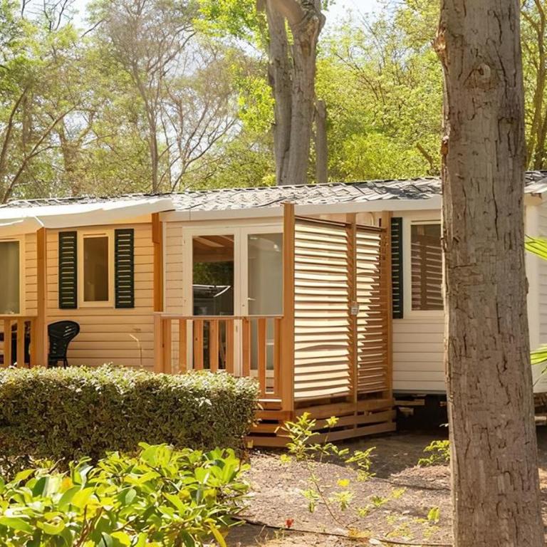 Mobil-home 6 pers, tout confort Clim, piscine & animations - Mobile Home - 1