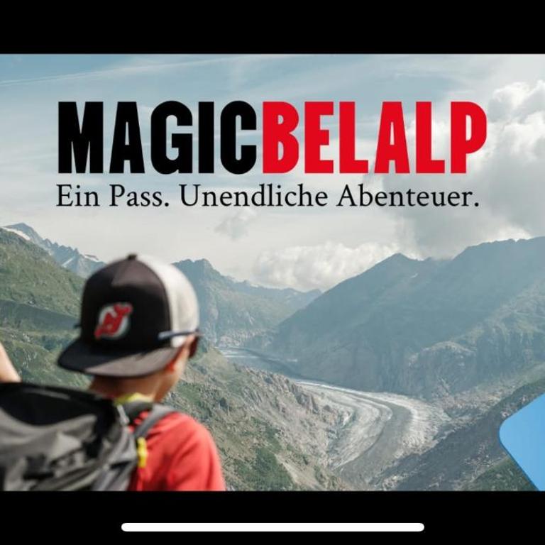 Historische Maisonettewohnung bis 10 Gäste, Magic Pass Belalp, Rosswald und mehr - Apartment - 22