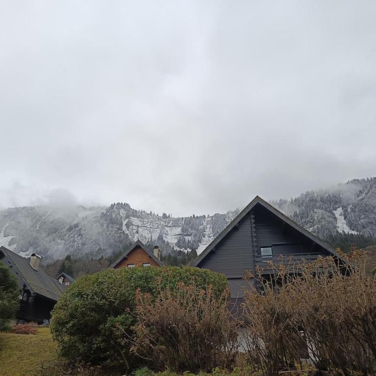 Chalet au cœur de la station - Chalet 3 Chambres - 10