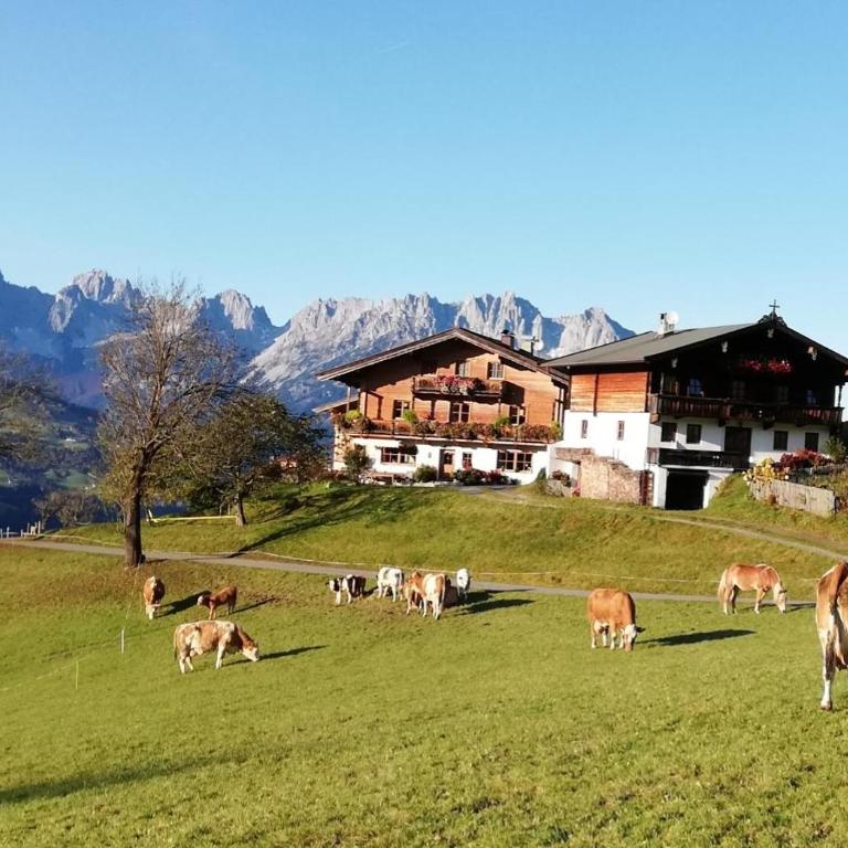 Hahnenkammblick - Apartment mit 3 Schlafzimmern - 7