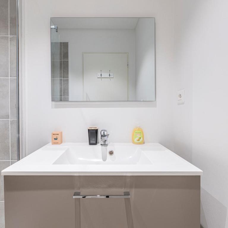 Cœur de Pau - Parking Privé - L'Unique - Appartement 1 Chambre - 7