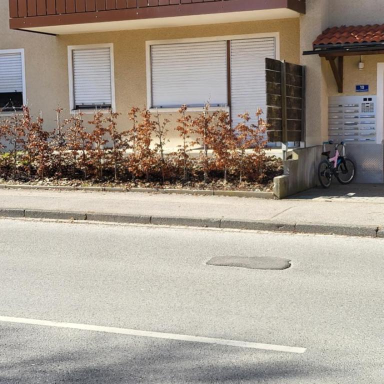 FW2-Allgäu - Apartment mit 1 Schlafzimmer und Balkon - 13