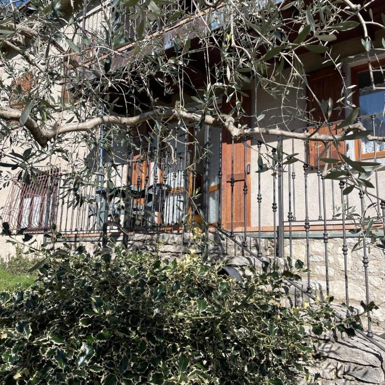 Casa Teodoro - Gelsomino, Ulivi & Orchidea - Appartamento con 1 Camera da Letto e Terrazza - 13