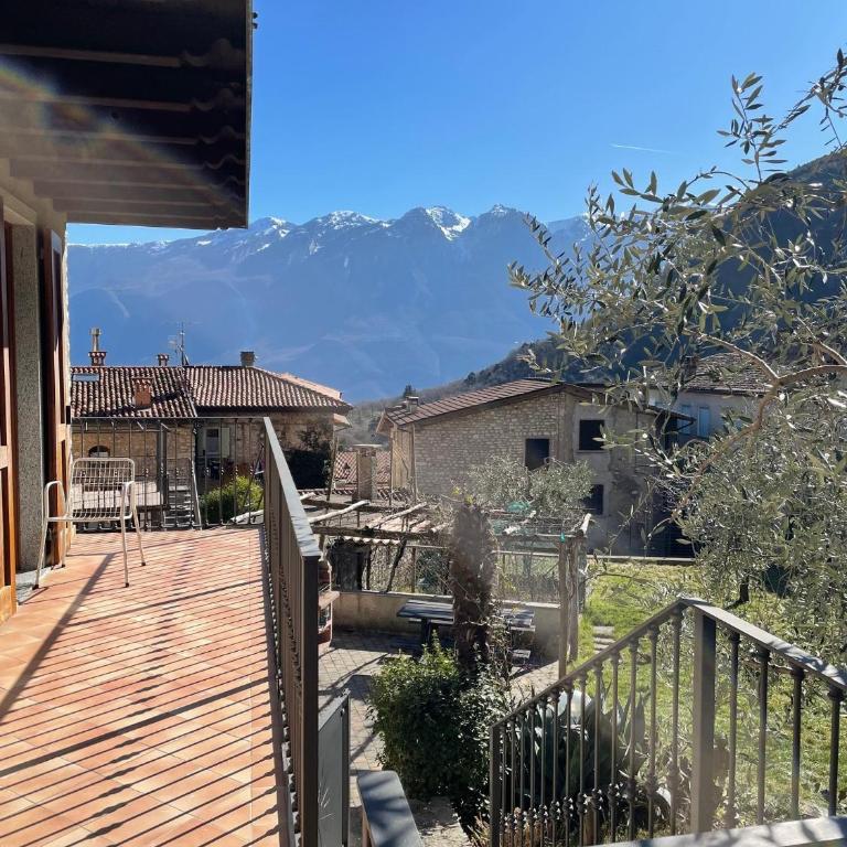 Casa Teodoro - Gelsomino, Ulivi & Orchidea - Appartamento con 1 Camera da Letto e Terrazza - 14