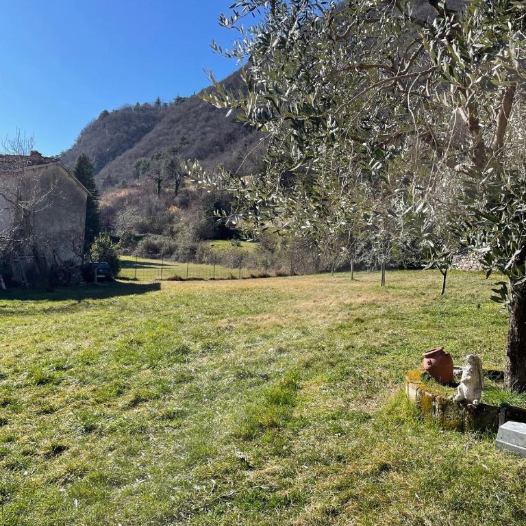 Casa Teodoro - Gelsomino, Ulivi & Orchidea - Appartamento con 1 Camera da Letto e Terrazza - 26