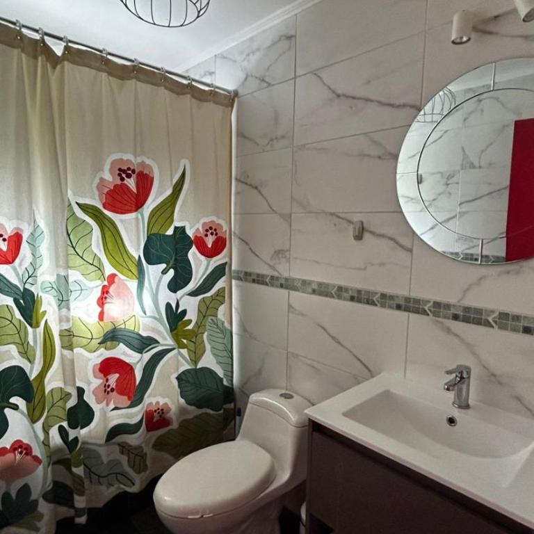 Casa en camino Villarrica - Pucón - Three-Bedroom House - 21