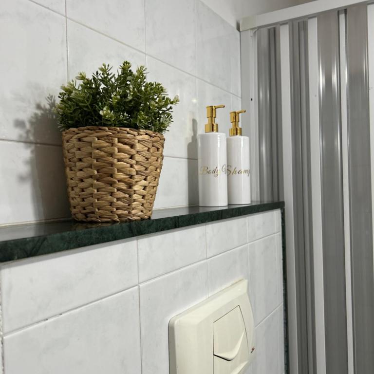 Appartamento Gemma 1 - One-Bedroom Apartment - 17