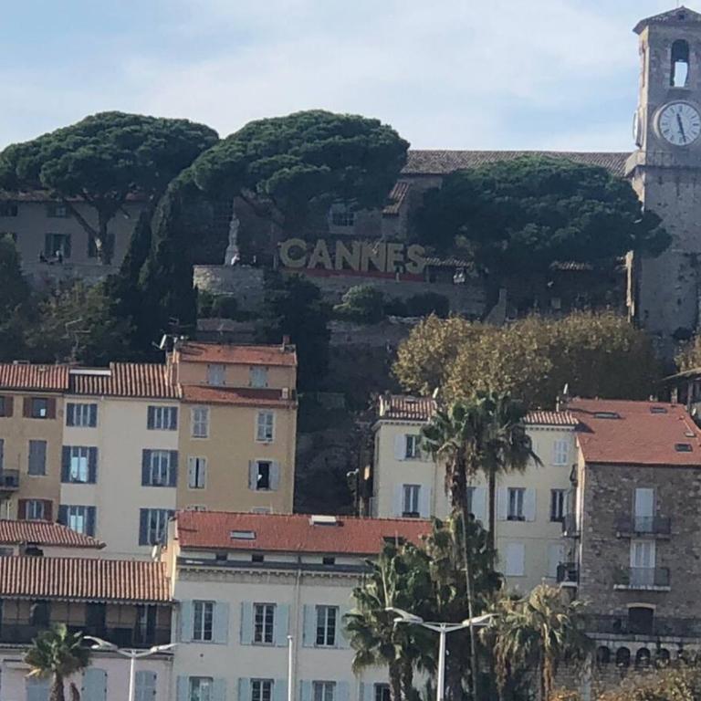 Large Studio in Cannes near la Croisette and beach - Appartement 1 Chambre - 1