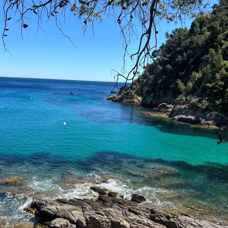 Mazet de la calanque CAVALAIRE - Haus mit 2 Schlafzimmern - 6